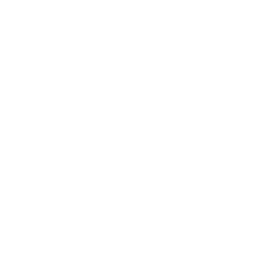 Ícone do WhatsApp